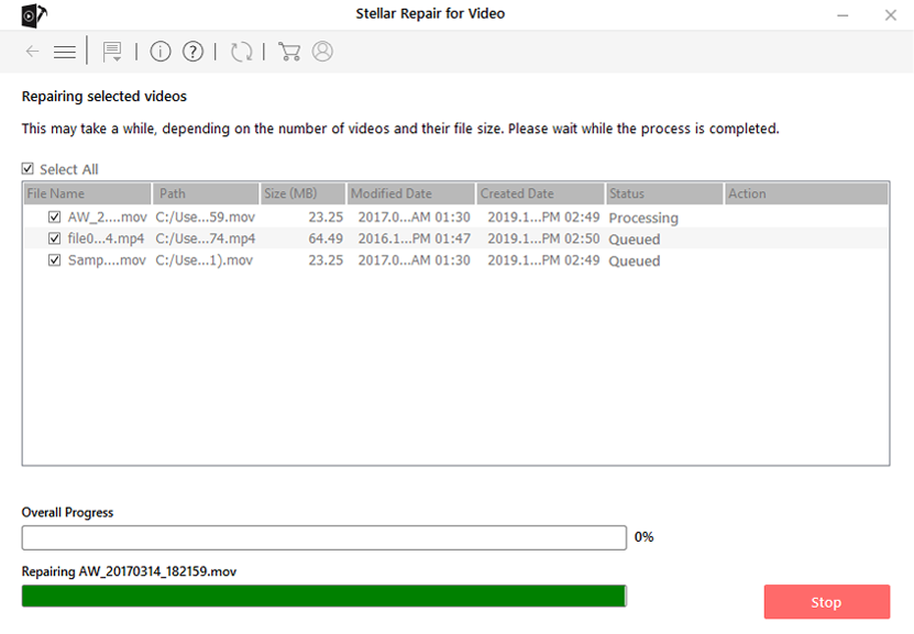 Stellar Repair for Video_Repair Process