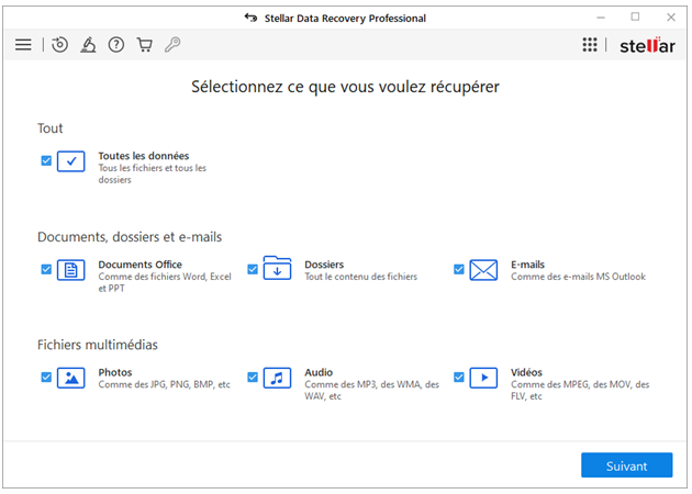 Stellar Data Recovery Professional -What to Recover