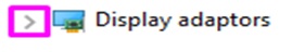 Click the arrow next to Display Adaptors