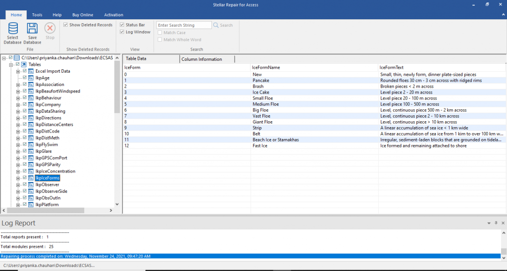 Preview the contents of the chosen database, including tables, deleted records, forms, reports, macros, and more. Opt to recover individual or multiple items as needed.