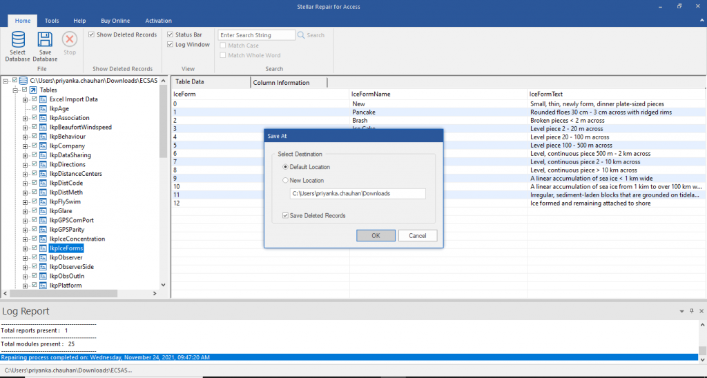 After completing the repair procedure, the tool prompts you to choose a storage location for saving the recovered items. Opt to store data in the original ACCDB file location or select a new folder.