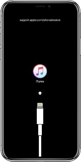 iTunes logo after force restart