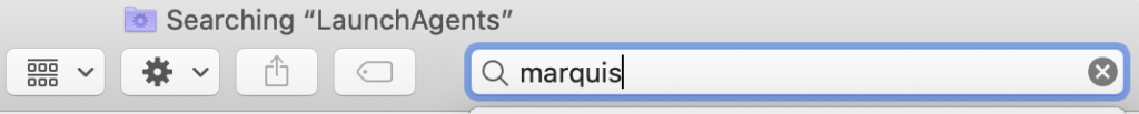 search box in a folder on Mac
