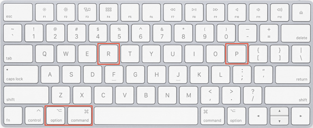 Option + Command + P + R

