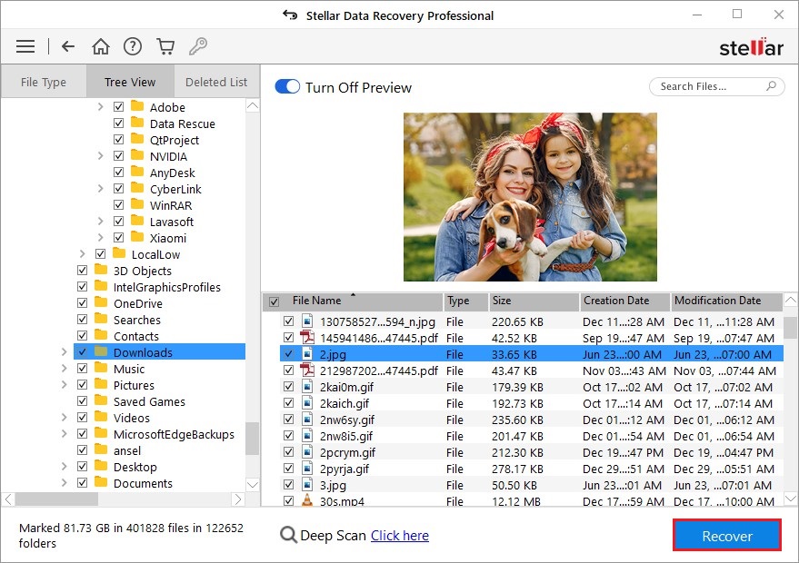 Preview files Under Stellar Data Recovery Profession for Windows