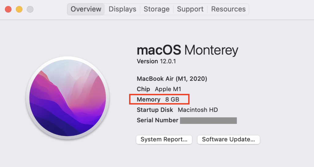 About This Mac > Overview tab