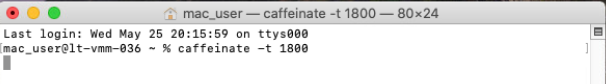 Terminal > enter caffeinate -t