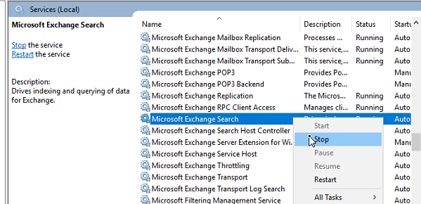 Microsoft Exchange Search
