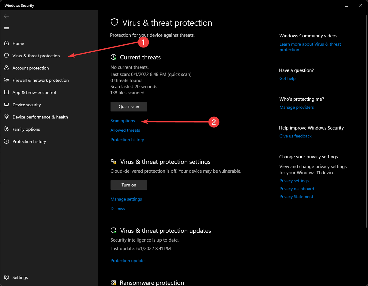 Choose Virus & threat protection and select Scan options