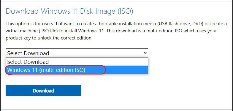 select-download-windows-11-multi-edition-iso