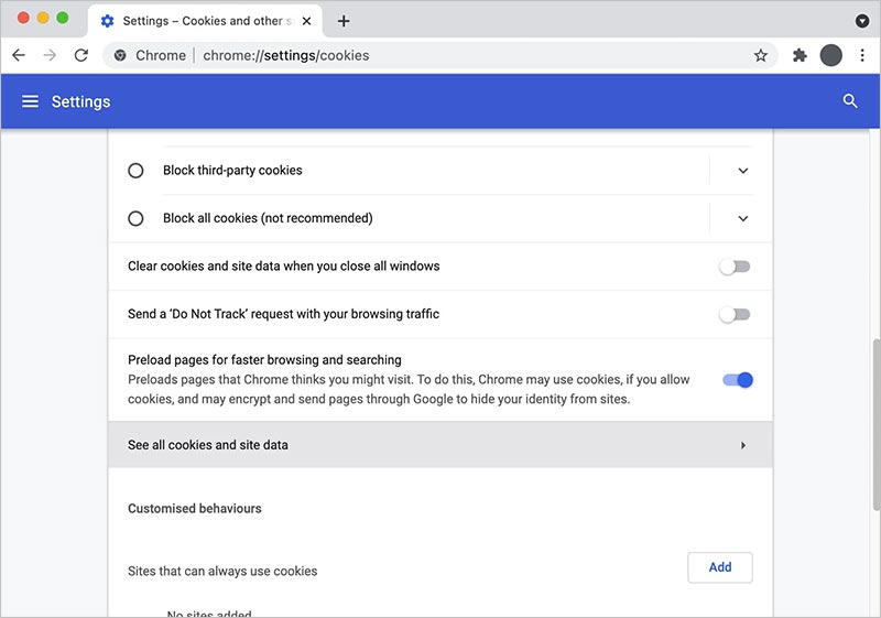 See all cookies and site data in chrome