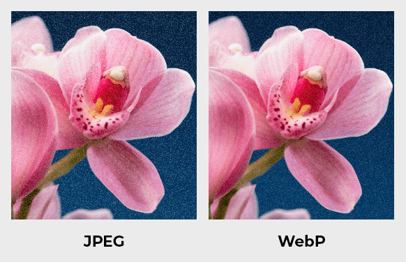 WebP vs. PJPEG