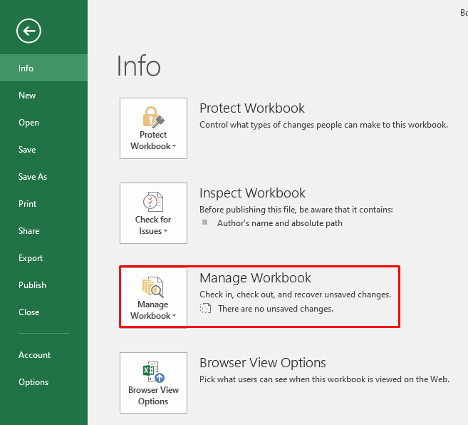 Manage Workbook Option in MS Excel