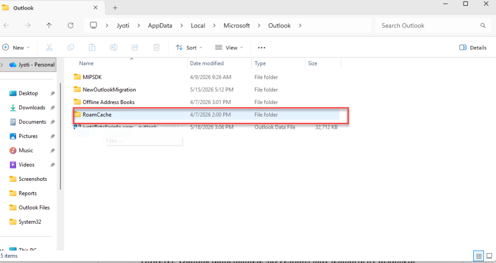 Open the RoamCache folder