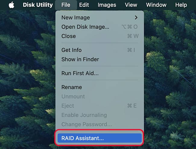 Click File > RAID Assistant