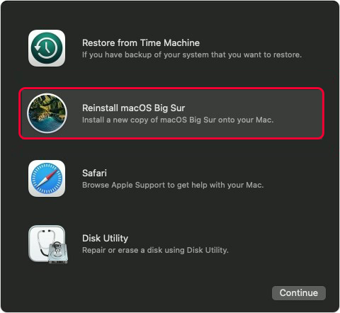 Select the Reinstall macOS option
