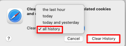 Clear History in Safari