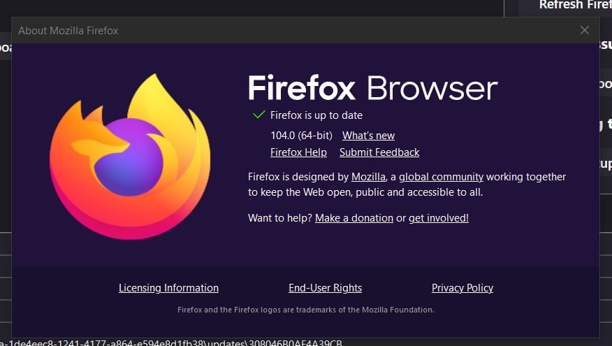 Facebook Videos won't Play- Update Mozilla Firefox Browser