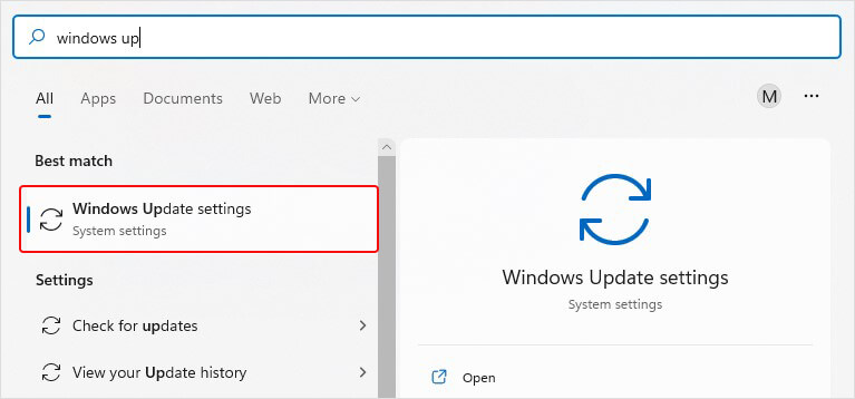 open-windows-update-settings