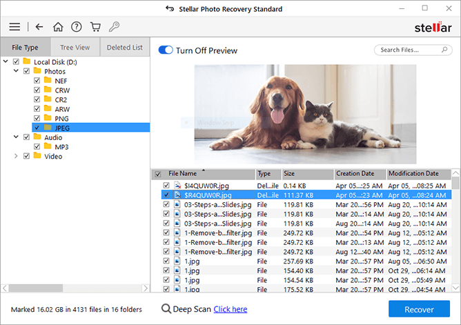 Stellar Photo Recovery - preview the recoverable files