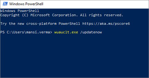 run-wuauclt.exe-update-now-command-in-powershell