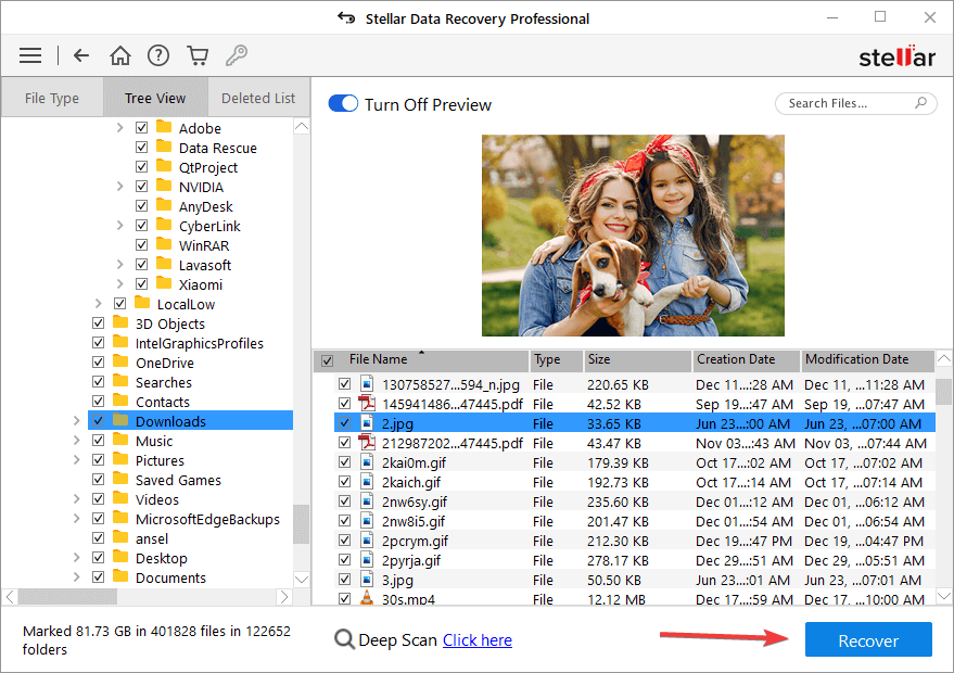  the file recovery preview and recover button in app