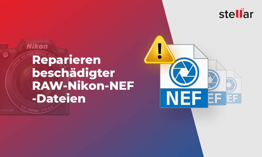 Reparieren beschädigter RAW-Nikon-NEF-Dateien