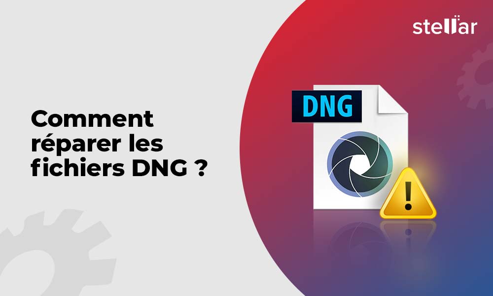 Comment réparer les fichiers DNG ?