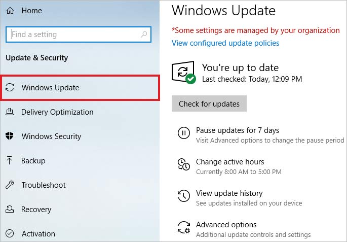 Check for Windows Update to Fix QUOTA_UNDERFLOW Error