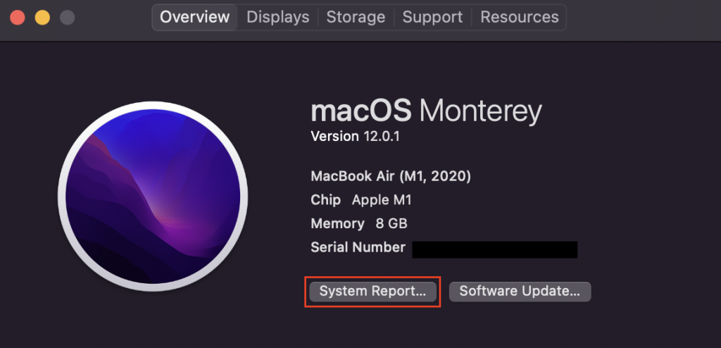 System Report