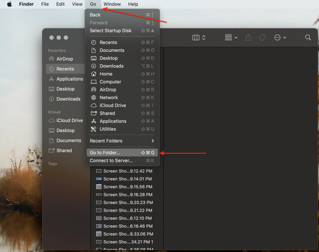 Finder > Go To Folder