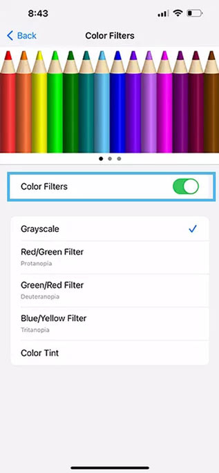 Fix iPhone Grey Screen by Changing Color Filters in Accessibility
