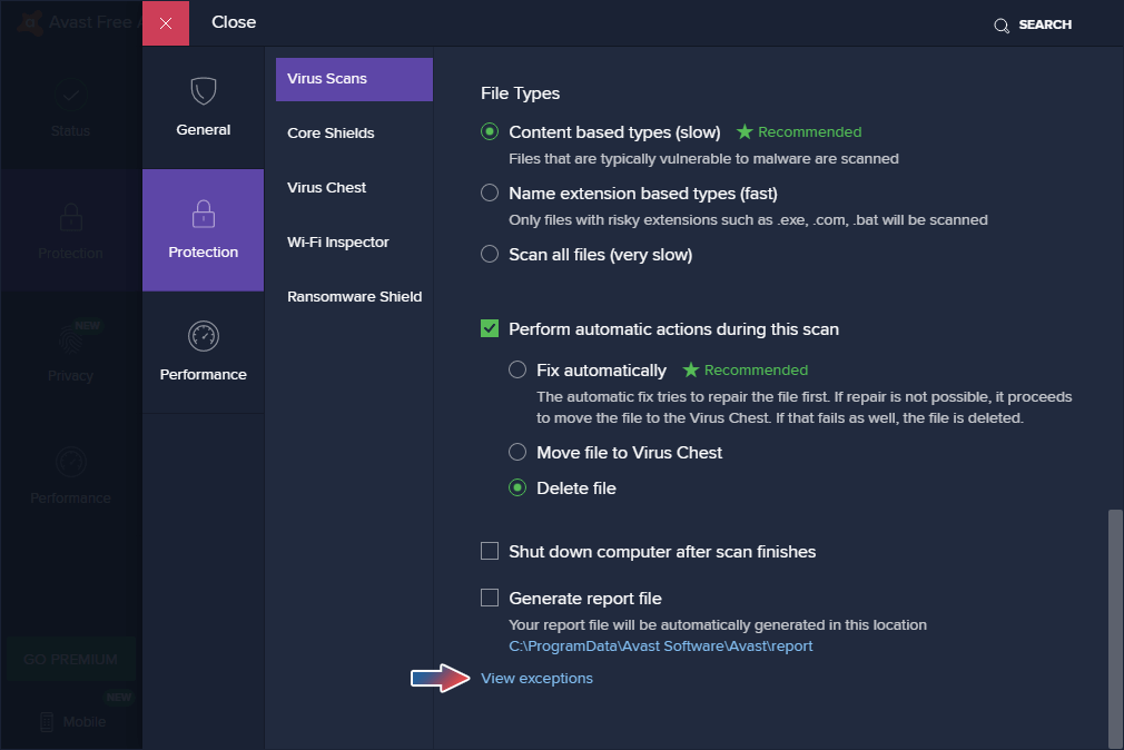 Avast Protection