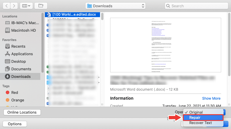 Recover text or Repair from Damaged Word for Mac