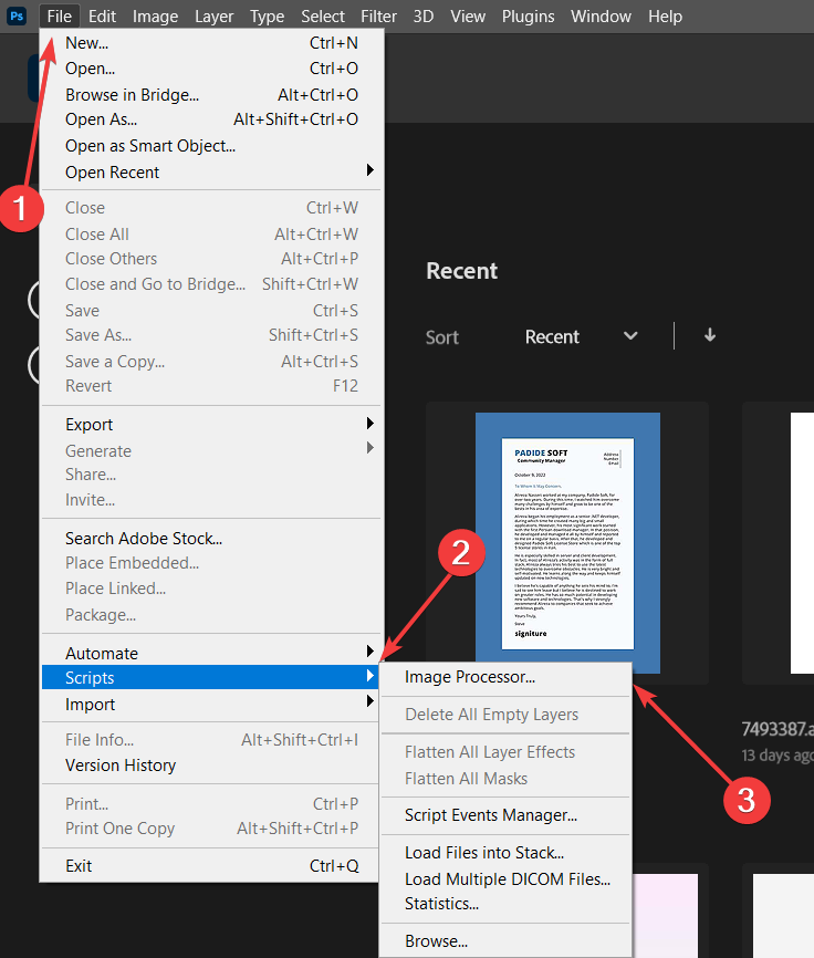 select image processor from script section