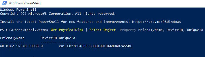 type get physical disk command in powershell