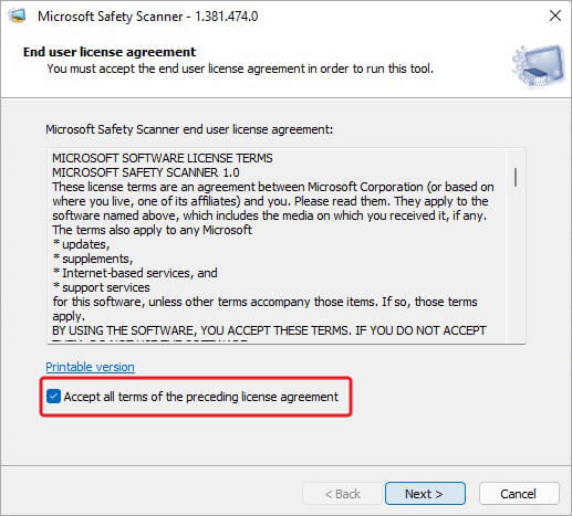 accept-all-preceding-license-terms-of-microsoft-safety-scanner