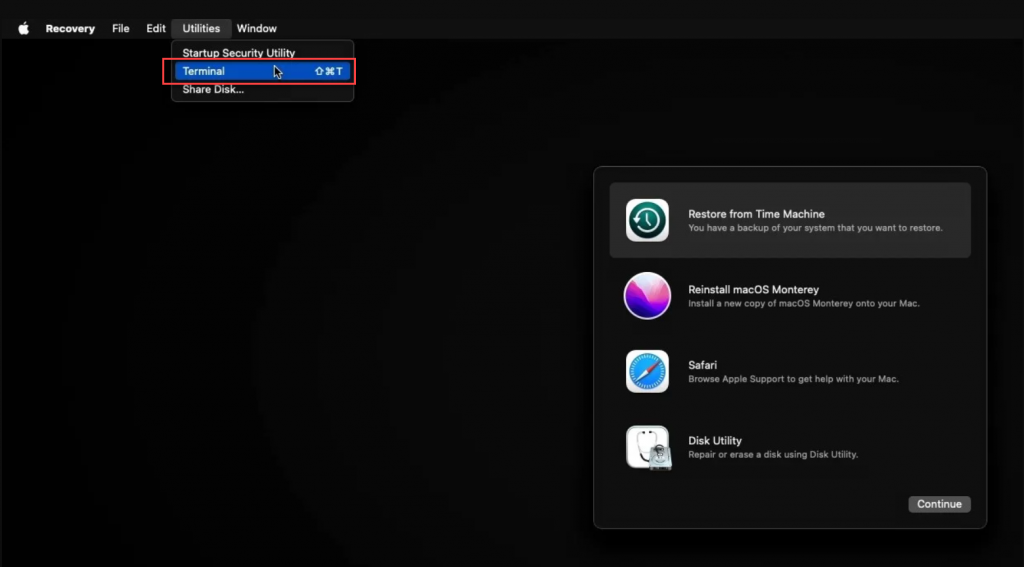 Recovery Mode > Utilities > Terminal