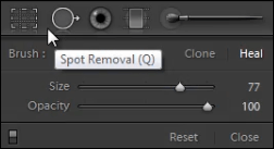 Spot Removal Tool in Lightroom to remove glare from glasses