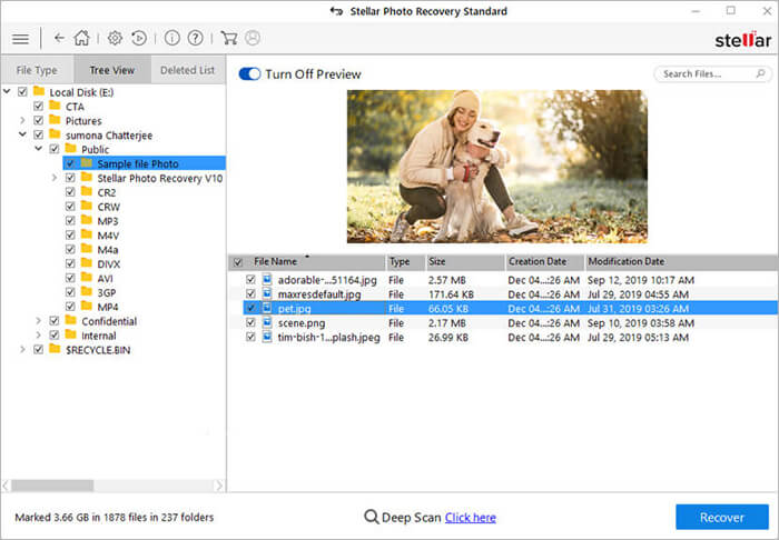 preview the recovered file Stellar Photo Recovery-3