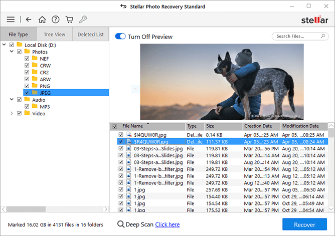 Stellar Photo Recovery - click Recover