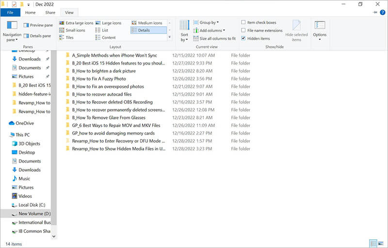 show hidden files using File Explorer-2