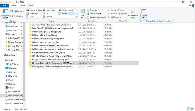 show hidden files using File Explorer-3
