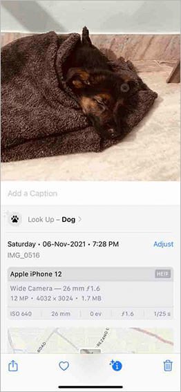 visual lookup1 in Apple iOS 15