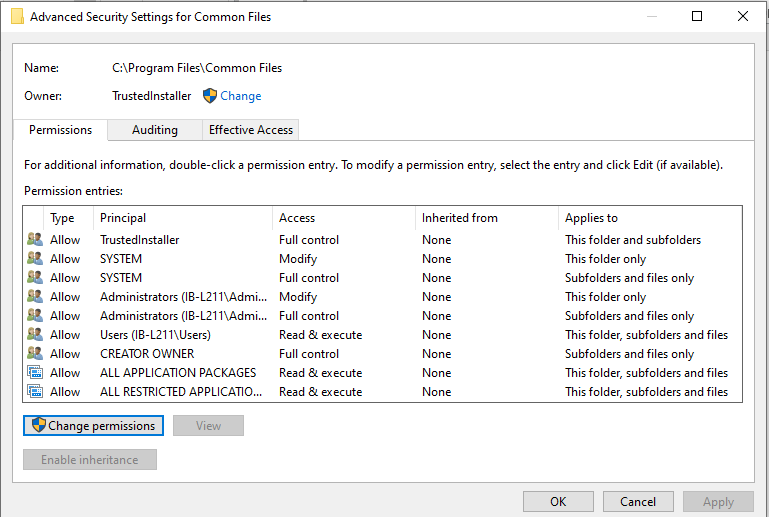 Advanced security settings window to change Permissions to fix file already in use error