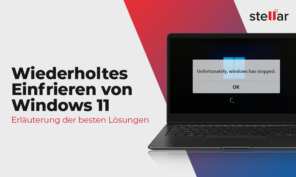 Wiederholtes Einfrieren von Windows 11 -Erläuterung der besten Lösungen