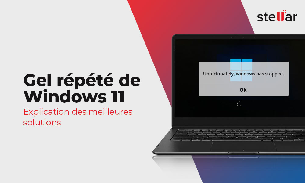 Écran figé Windows 11- essayez les meilleures solutions