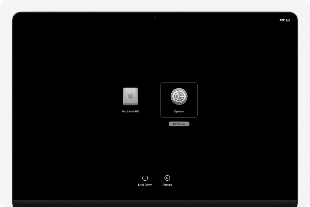 Boot into macOS Recovery