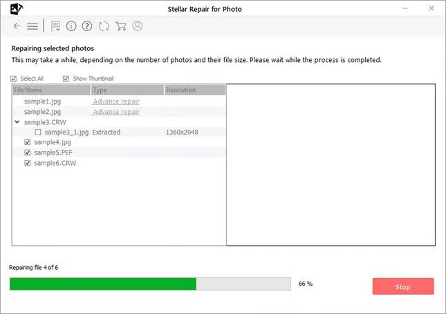 Stellar Repair for Photo- Repair process