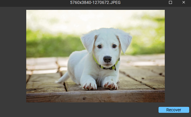 Stellar photo recovery - preview tab